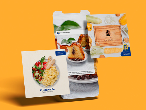 Avícola Don Quijote